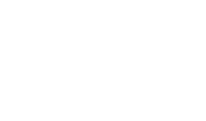 polltrackafrica logo dark